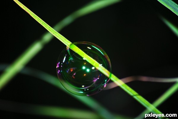 bubble in the lemon grass