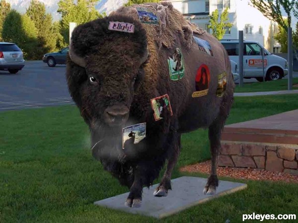 Creation of Bison goes home: Step 5
