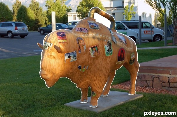 Creation of Thats no Bull!!: Step 1