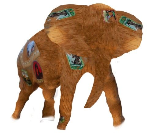 Creation of Elephant: Step 6