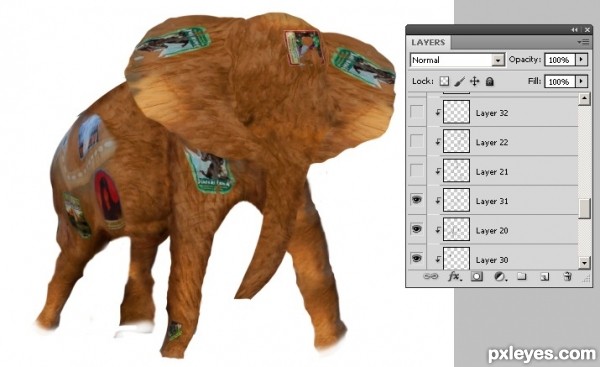 Creation of Elephant: Step 8