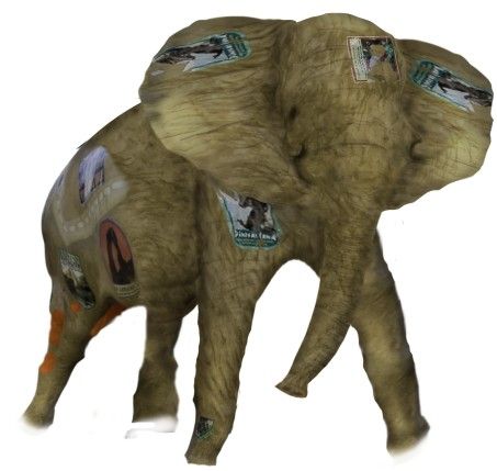 Creation of Elephant: Step 11