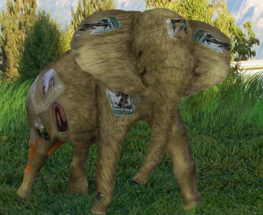 Creation of Elephant: Step 12