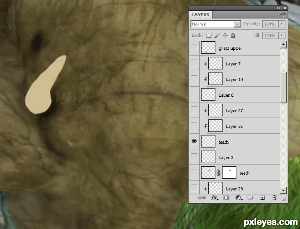 Creation of Elephant: Step 13