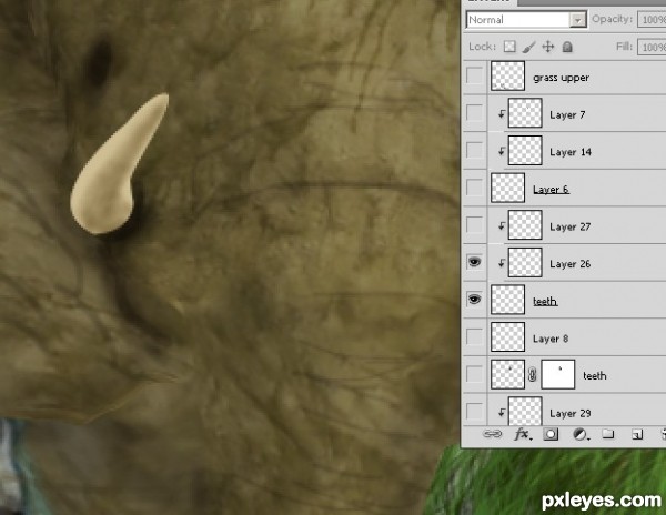 Creation of Elephant: Step 14