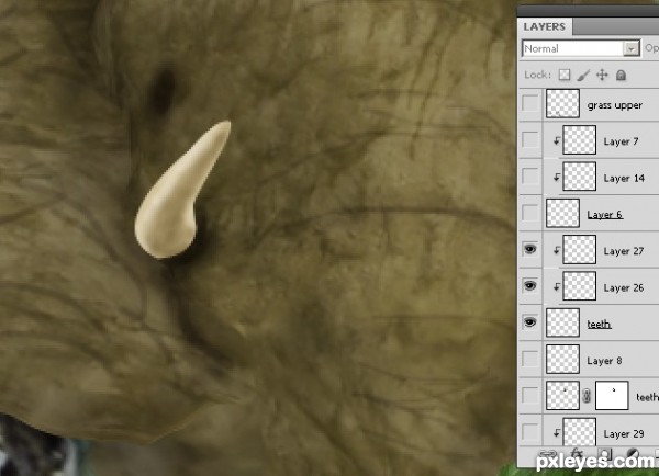 Creation of Elephant: Step 15