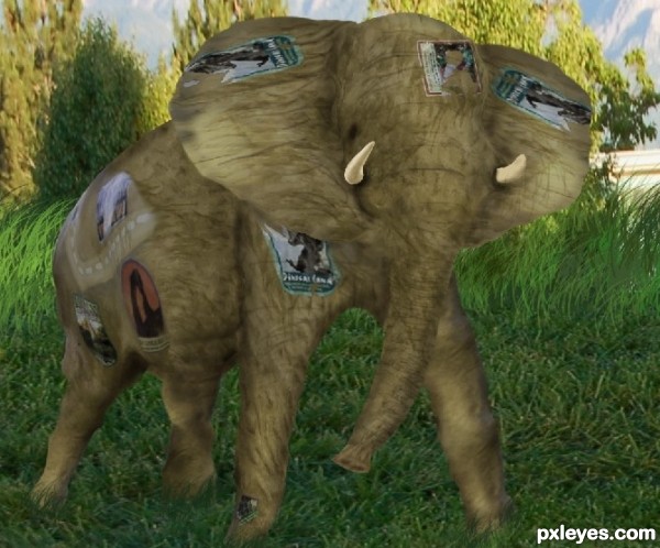 Creation of Elephant: Step 18