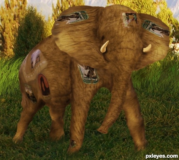 Creation of Elephant: Step 19