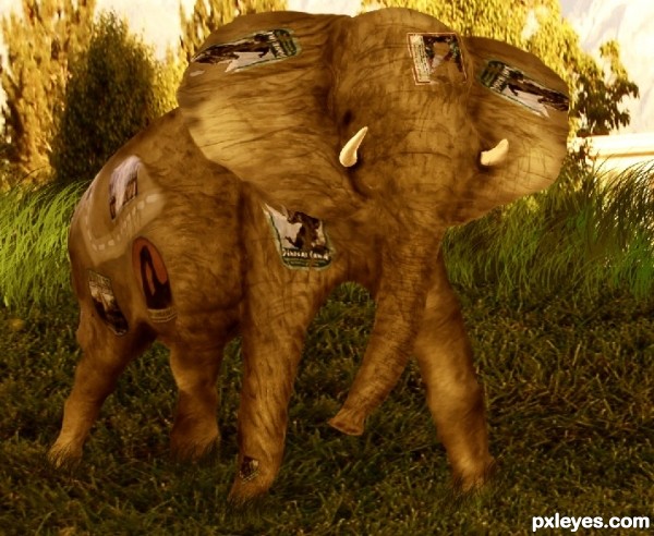 Creation of Elephant: Step 20