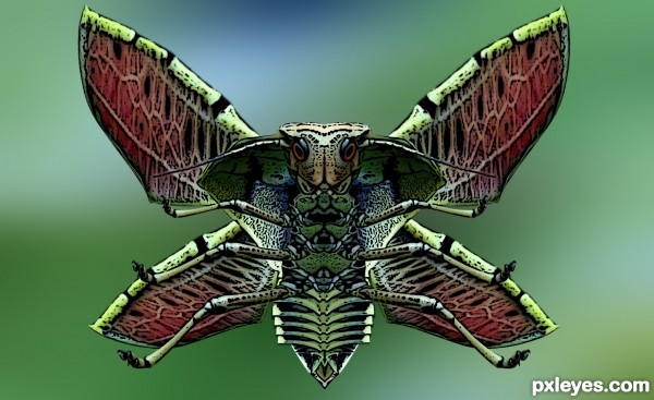Cobra moth