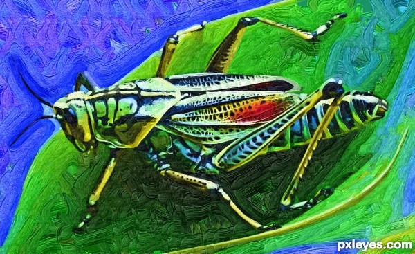 Creation of grass hopper: Final Result