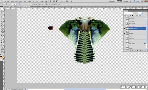 Creation of Cobra moth: Step 6