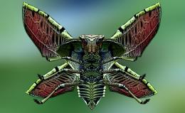 Cobra moth