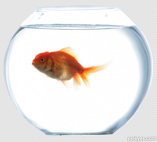 Creation of Walking the little fishy: Step 4