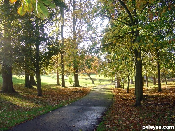 Creation of nice afternoon walk: Step 1
