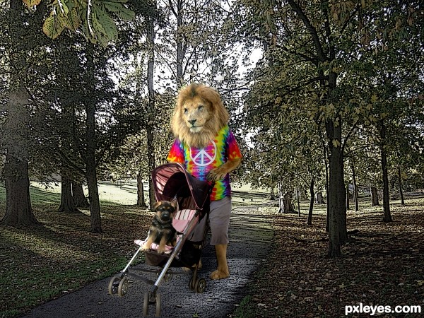 Creation of nice afternoon walk: Step 8
