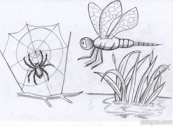 Creation of Spidey eyes the dragonfly ?: Final Result