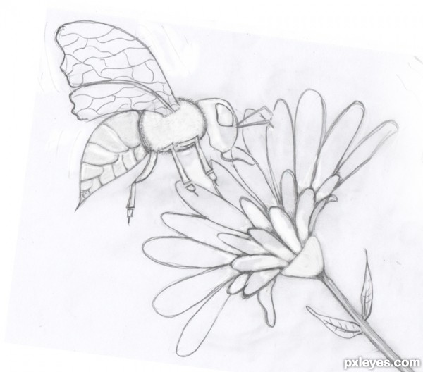 Creation of Spidey eyes the dragonfly ?: Step 1