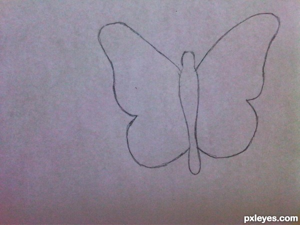 Creation of bugs: Step 2