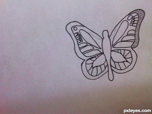 Creation of bugs: Step 4