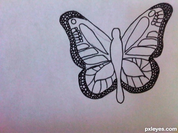Creation of bugs: Step 5