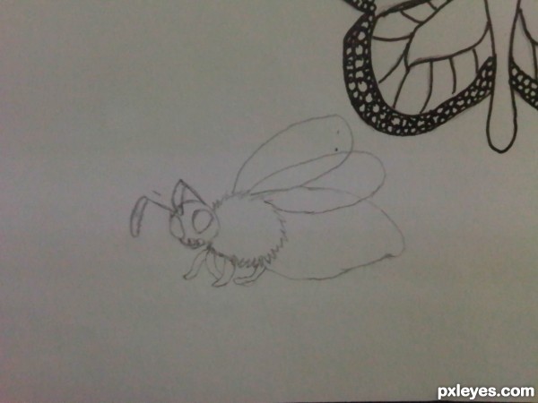 Creation of bugs: Step 6