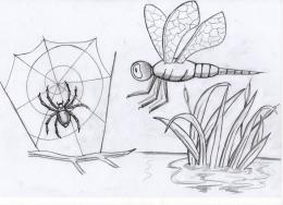 Spideyeyesthedragonfly