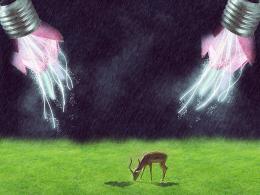Rain