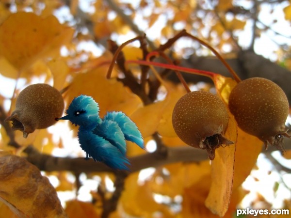 Tree and bird