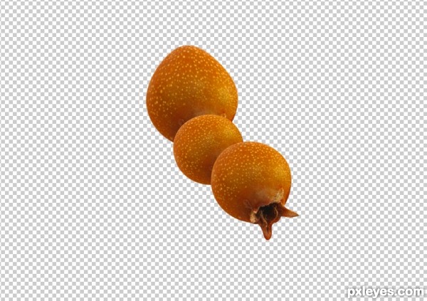Creation of Bulb Insect: Step 2