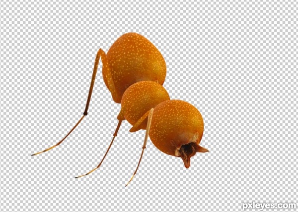 Creation of Bulb Insect: Step 3