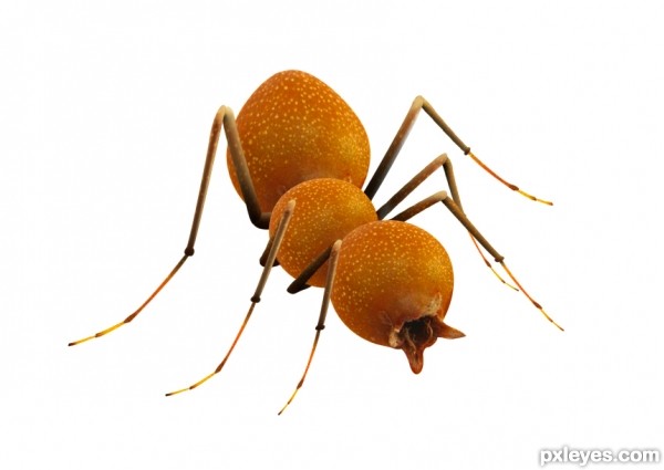 Creation of Bulb Insect: Step 4