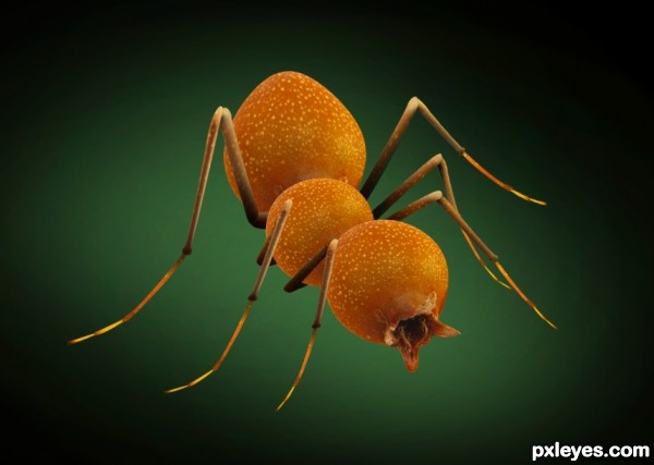 Creation of Bulb Insect: Step 5