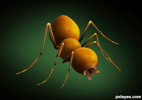 Creation of Bulb Insect: Step 6