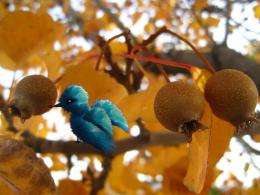 Tree and bird