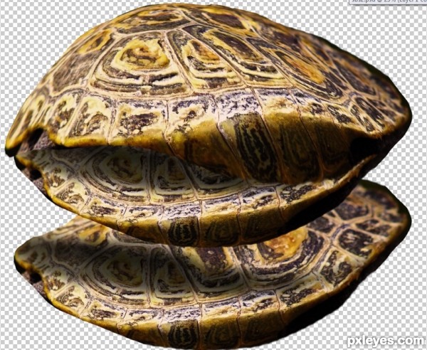 Creation of Aquaphobia: Step 3