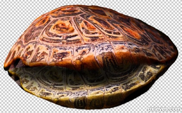 Creation of Aquaphobia: Step 4