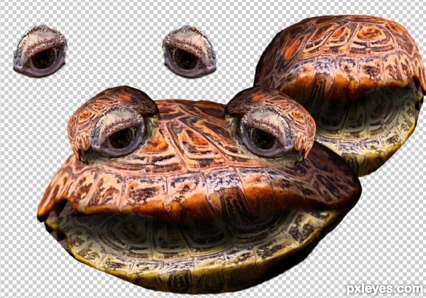 Creation of Aquaphobia: Step 6