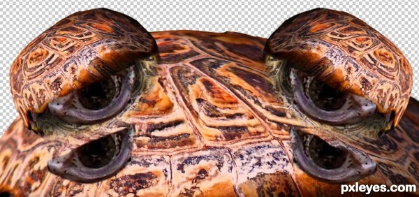 Creation of Aquaphobia: Step 7