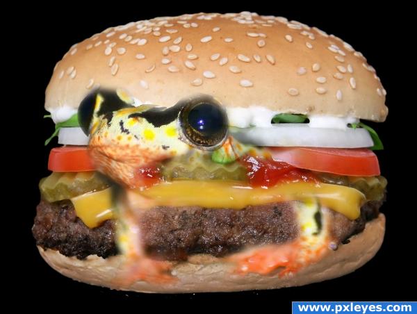 Eat burger with Frog?!!
