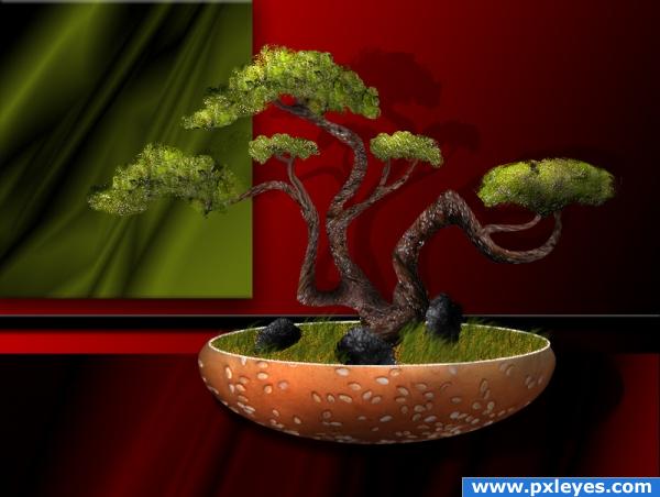 Creation of Bonsai: Final Result