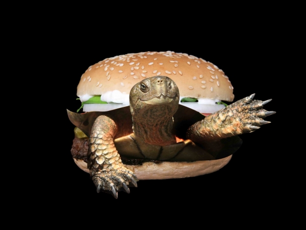 Creation of Burgtoise: Step 1