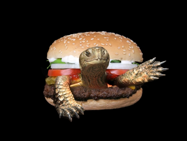 Creation of Burgtoise: Step 2
