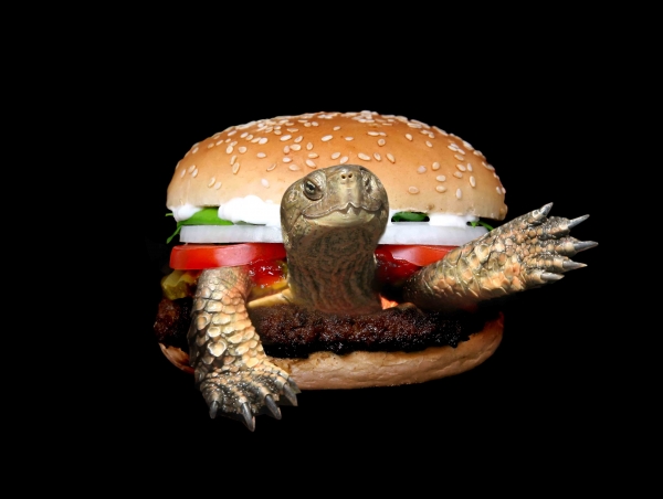 Creation of Burgtoise: Step 3