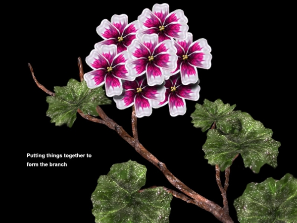 Creation of Geranium: Step 4