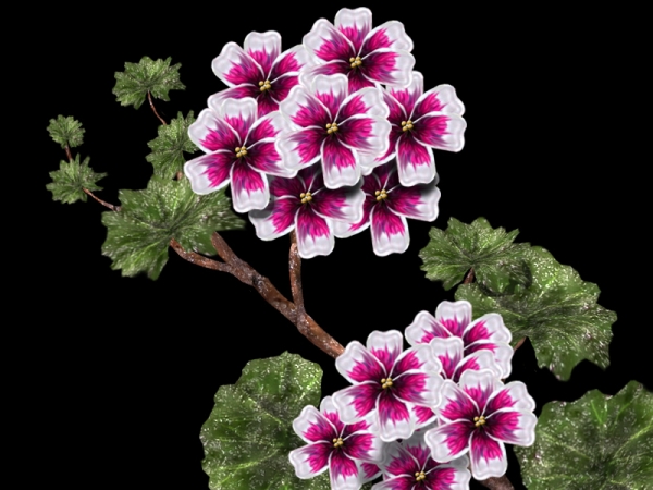 Creation of Geranium: Step 5