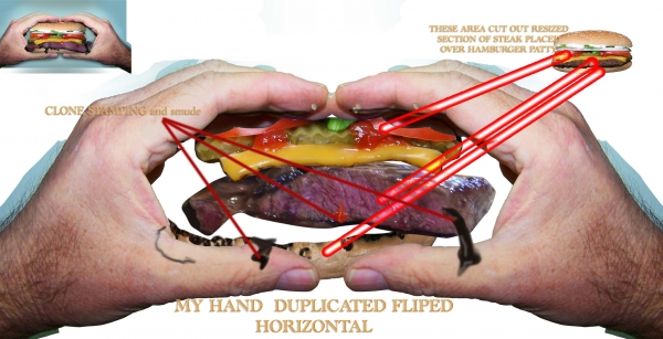Creation of Mouth Watering Steak Sandwich: Step 2