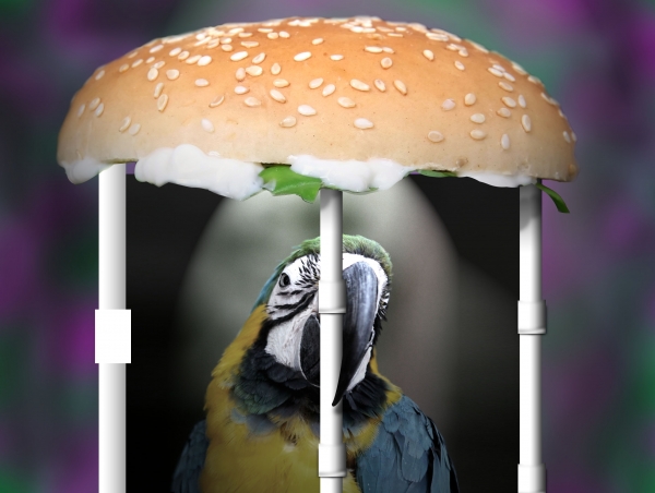 Creation of FooD CaGe: Step 3