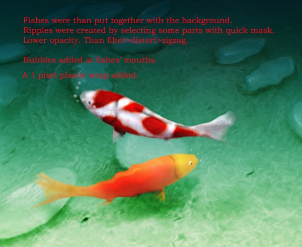 Creation of Fishes: Step 3