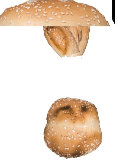 Creation of Burger-Bear: Step 1